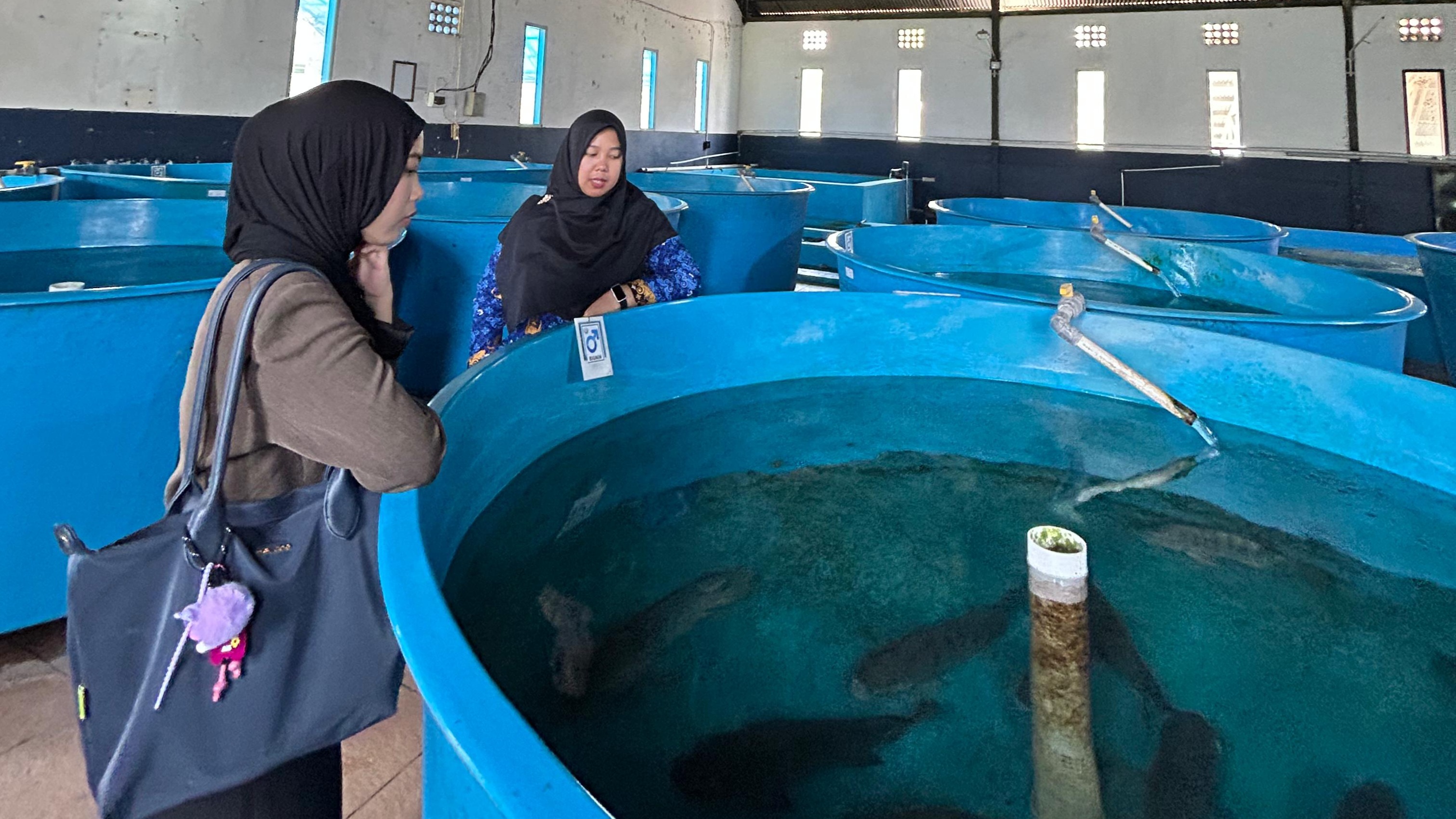 Diskusi dengan Balai Besar Perikanan Air Tawar (BBPBAT) Sukabumi